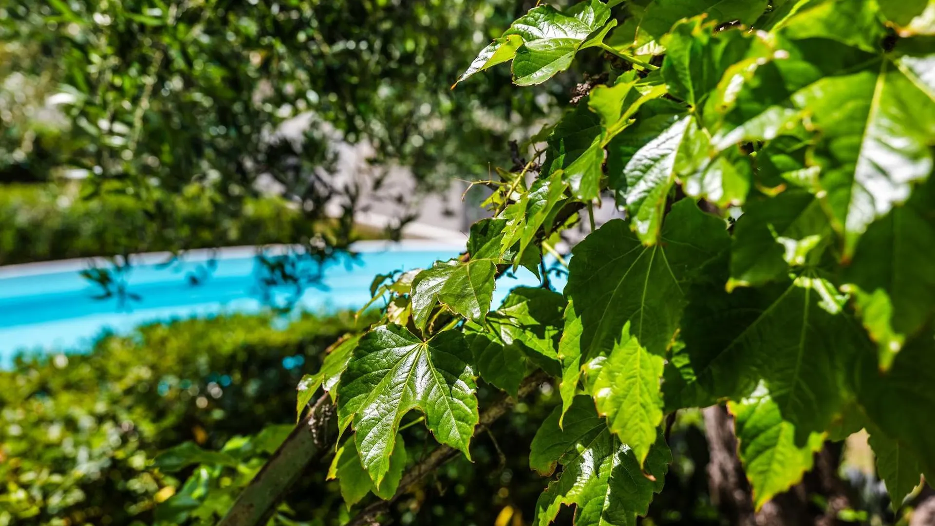 The Sicily Lobster House Villa Naso