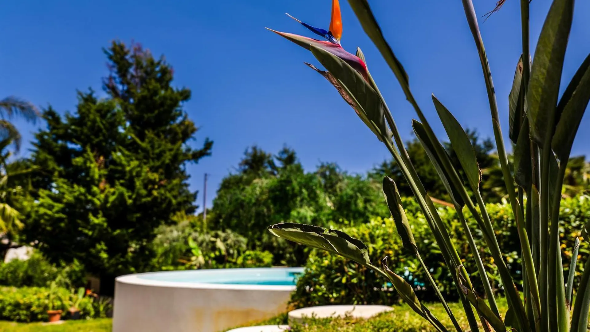 The Sicily Lobster House Villa Naso